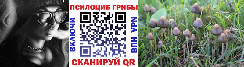 Купить где  Серов  Псилоцибиновые грибы MAGIC MUSHROOMS 