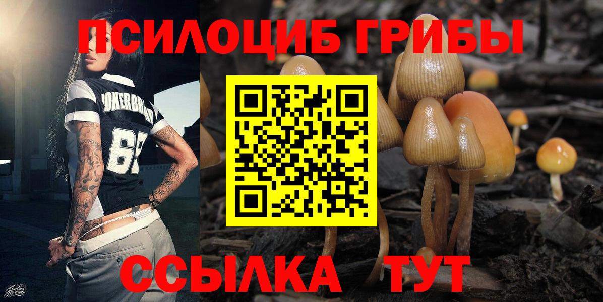 Галлюциногенные грибы ЛСД Серов