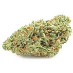 Шишки OG Kush  (Гидропоника, бошки) VHQ в Серове